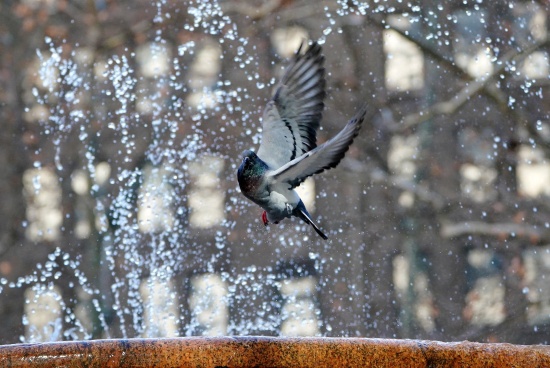 北極寒潮襲擊美國 導(dǎo)致美國東北部學(xué)校停課