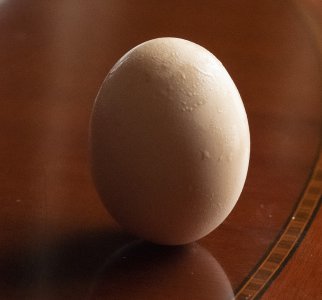 今日23時(shí)33分春分