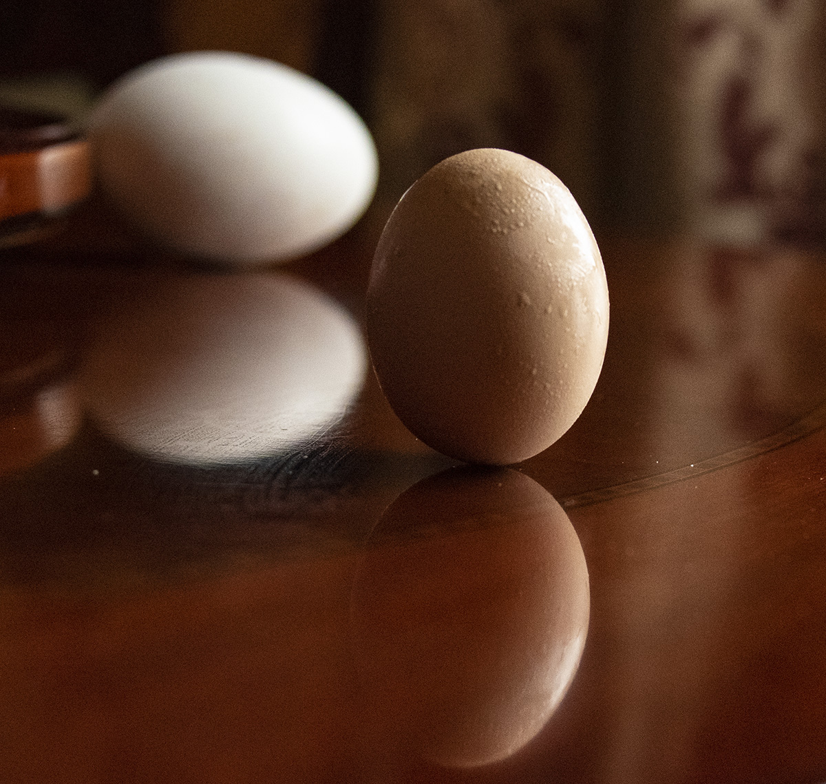 今日23時33分春分