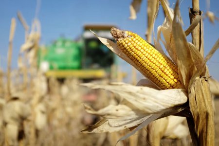 烏克蘭戰(zhàn)爭(zhēng)加劇全球糧食危機(jī) 不要將俄羅斯排除在