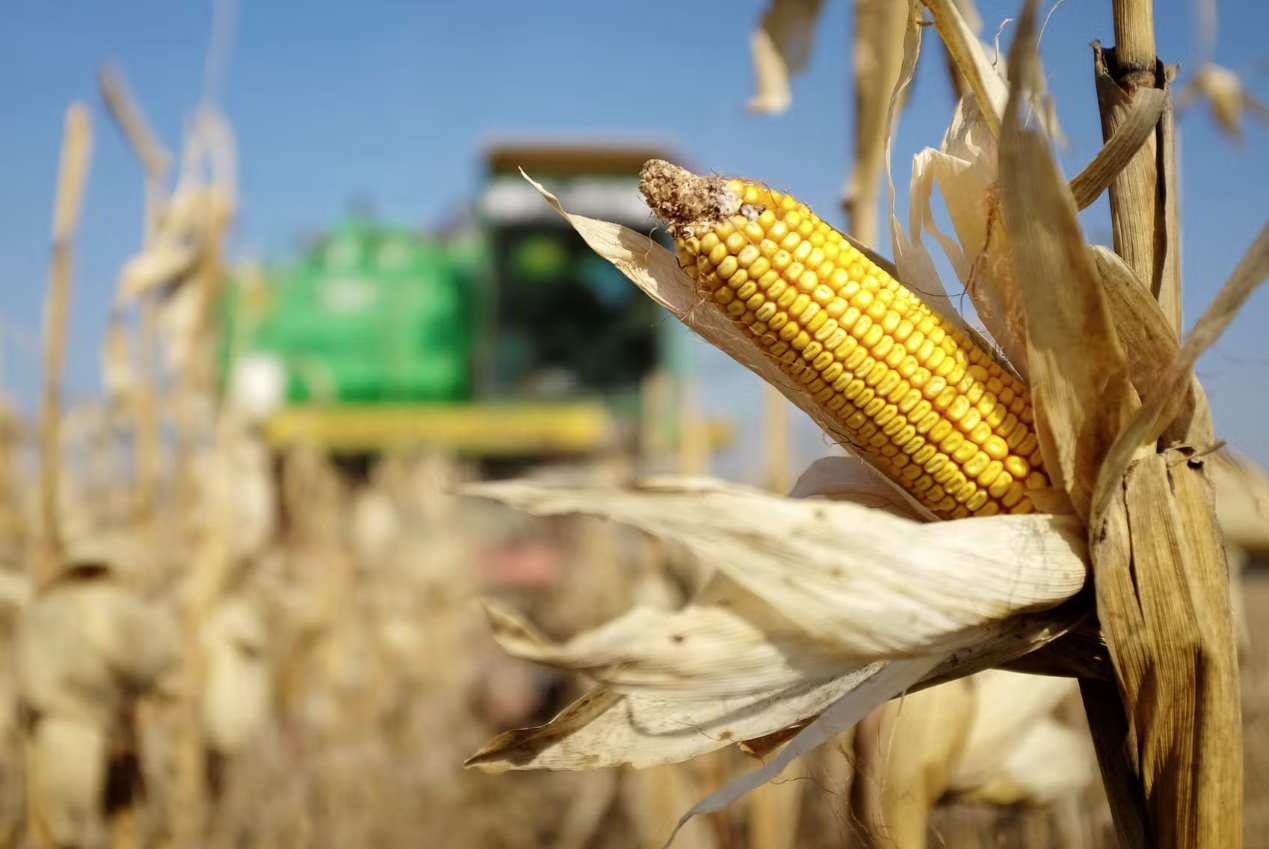 烏克蘭戰(zhàn)爭(zhēng)加劇全球糧食危機(jī) 不要將俄羅斯排除在G20之外