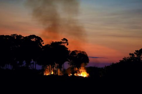 亞馬遜火災(zāi)和森林砍伐的原因和后果