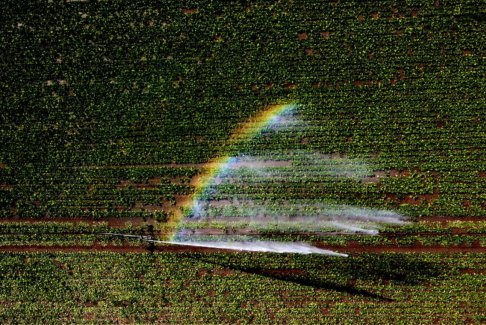 英國(guó)干旱嚴(yán)重 約克郡水務(wù)公司將從8月26日起實(shí)施軟管