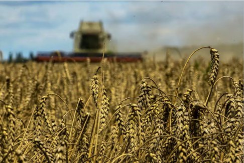 土耳其國防部稱又有兩艘谷物船離開烏克蘭