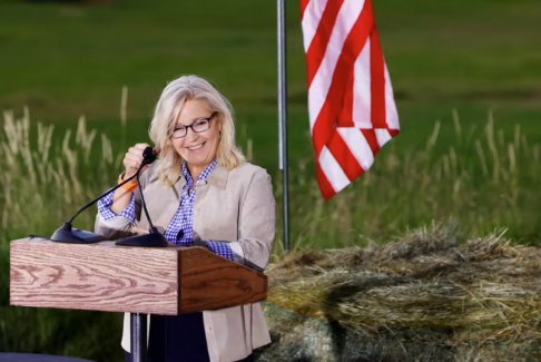 美國(guó)眾議員利茲切尼反對(duì)共和黨候選人