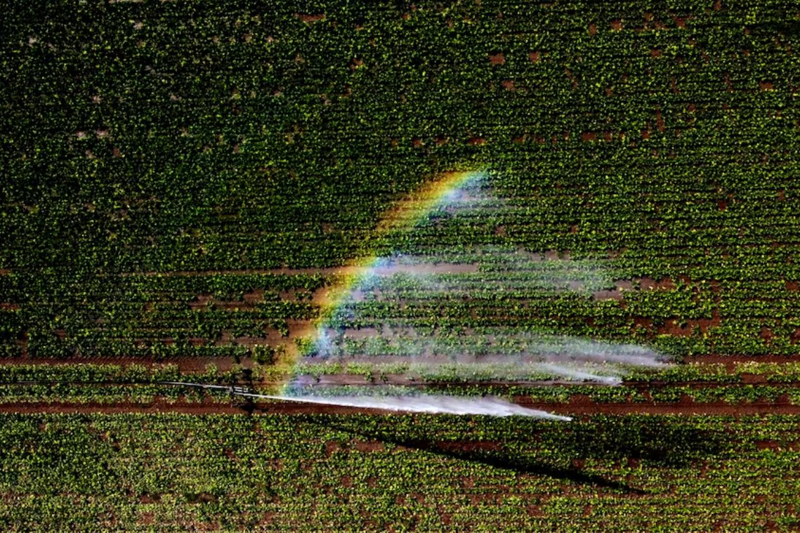 英國干旱嚴(yán)重 約克郡水務(wù)公司將從8月26日起實(shí)施軟管禁令