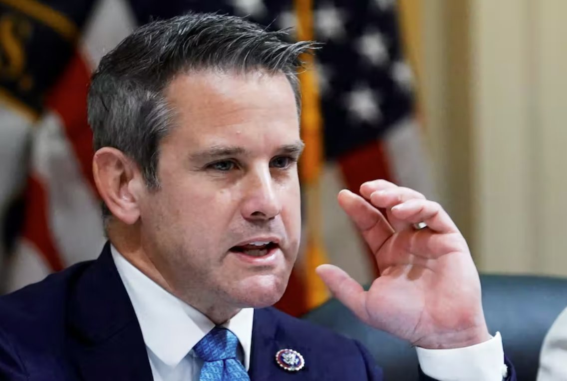 國會(huì)議員金辛格說 共和黨人為特朗普辯護(hù)是&ldquo;虛偽的&rdquo;