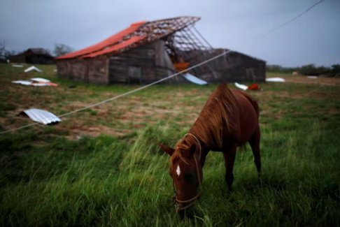 颶風伊恩摧毀古巴電網(wǎng) 古巴慢慢開始恢復供電