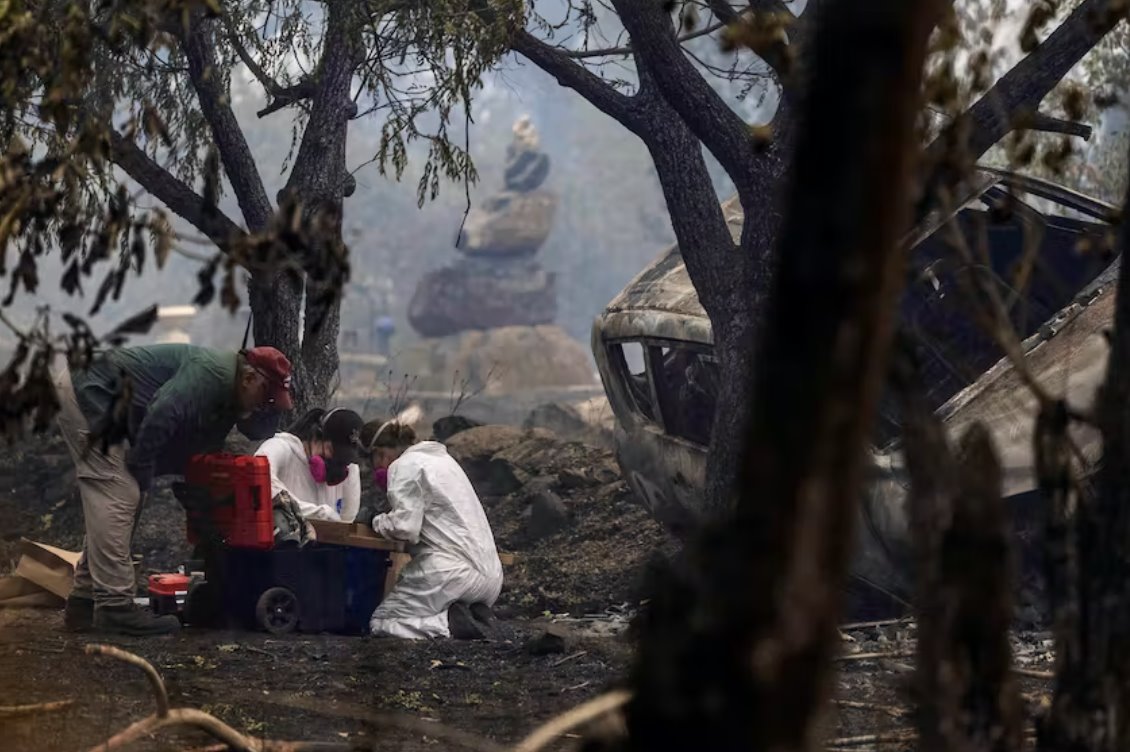 快速蔓延的加州野火促使數(shù)千居民撤離
