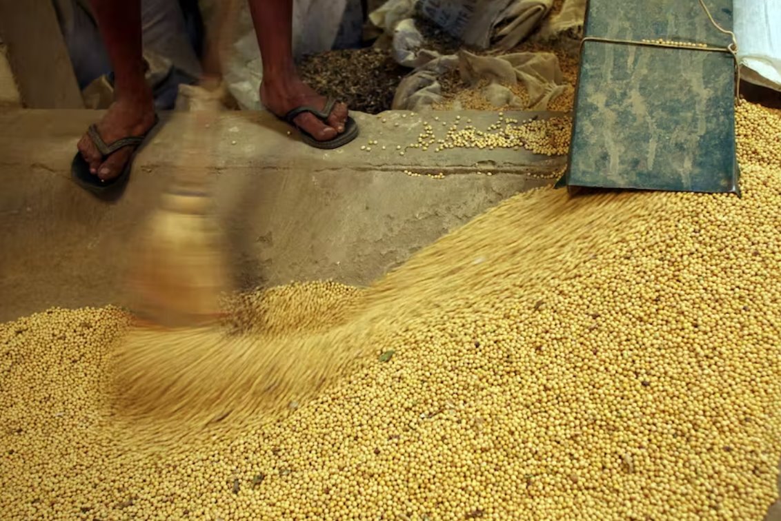 玻利維亞因人口普查延誤而罷工使農業(yè)出口中心癱瘓