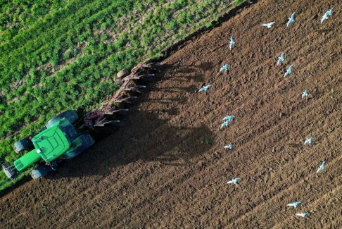 盡管糧食價(jià)格上漲 世界糧食指數(shù)10月下滑