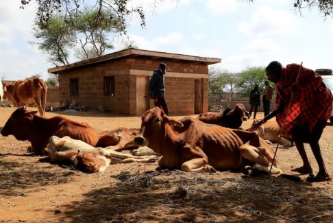 蓋茨基金會承諾為非洲提供70億美元應(yīng)對氣候變化