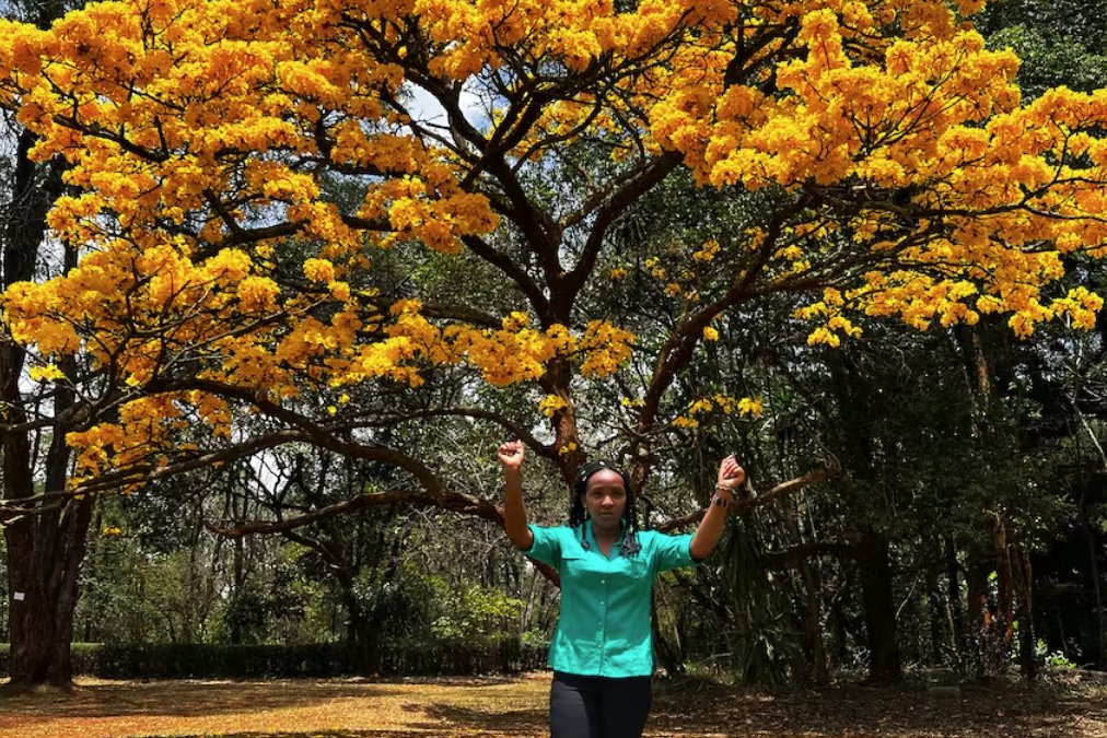 年輕的肯尼亞樹木活動家在COP27上為非洲發(fā)聲