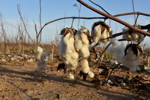 厄爾尼諾現(xiàn)象有望在多年來最嚴重的干旱后提振美國