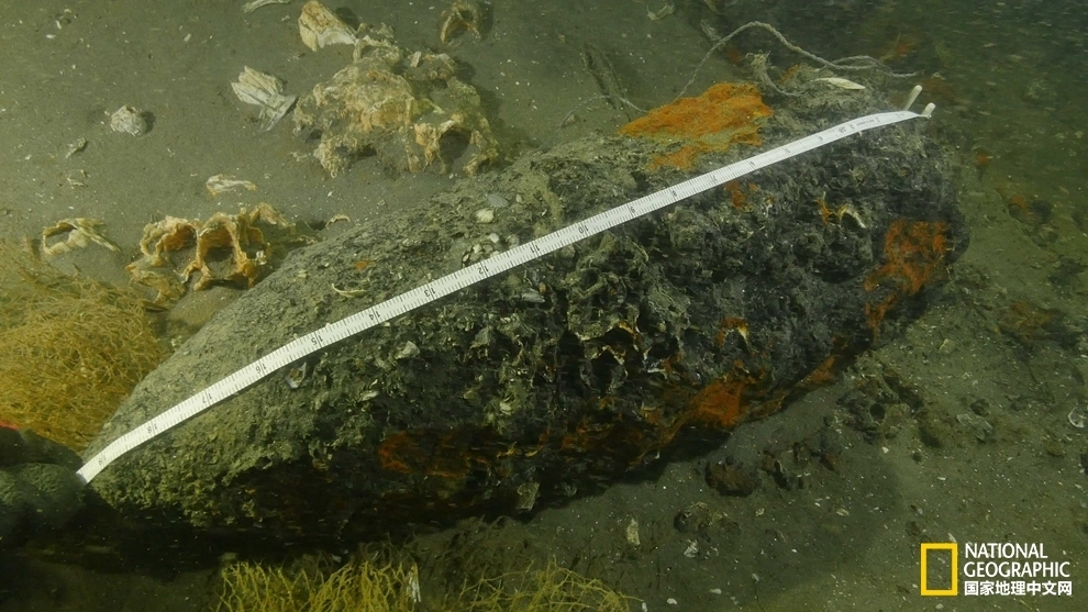 甲午戰(zhàn)爭(zhēng)沉艦發(fā)現(xiàn)大口徑炮彈