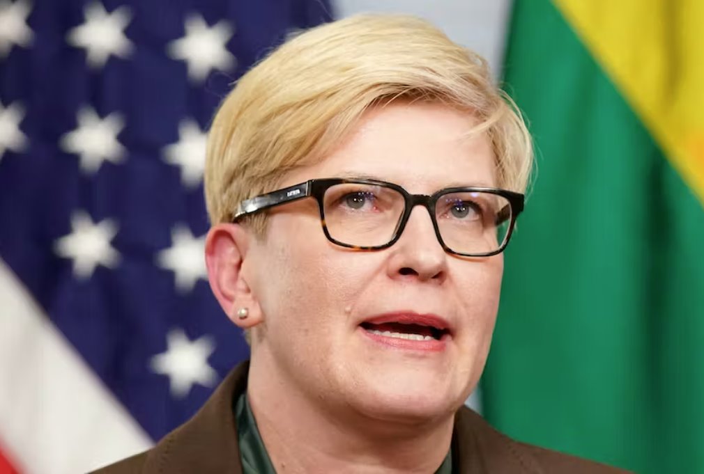 立陶宛議會否決選舉計劃 政府可能辭職