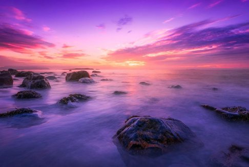 世界上一半以上的海洋已經(jīng)變色