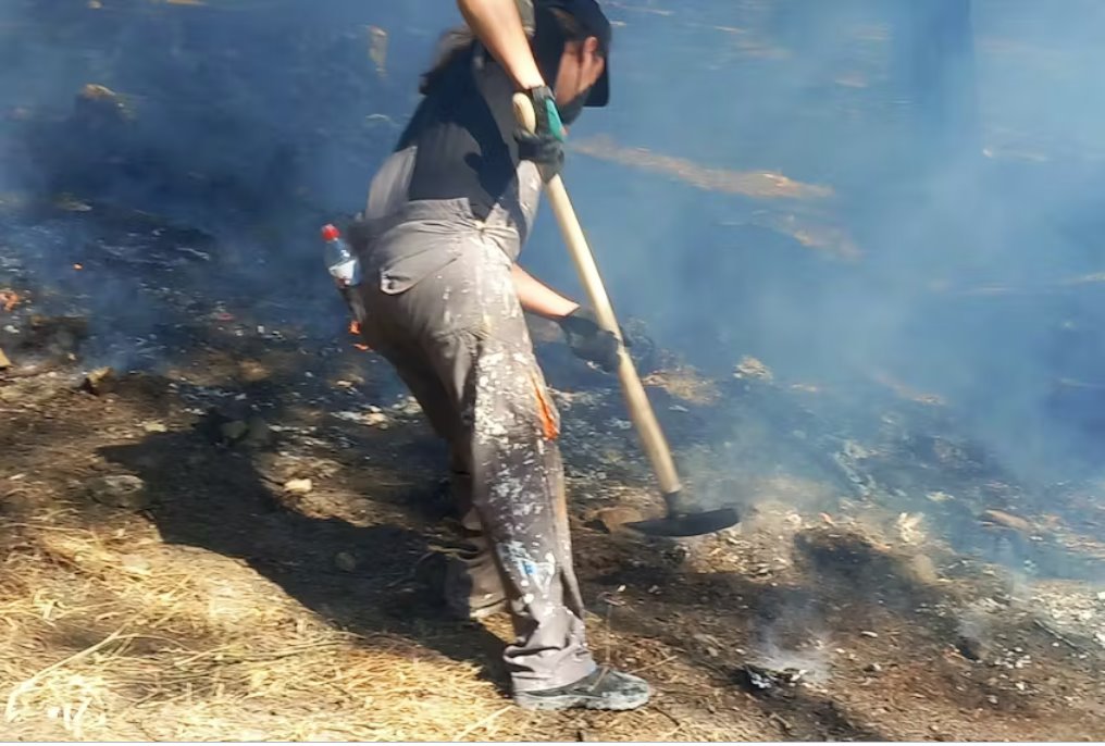 希臘羅德島野火迫使大規(guī)模疏散