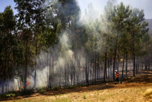 歐洲航天局局長警告氣候問題上的政治動搖