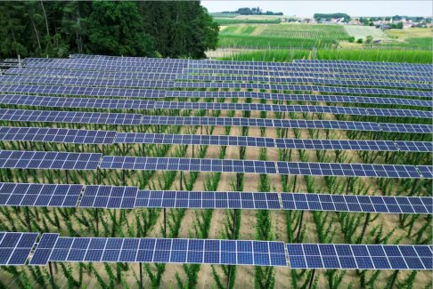 歐洲不再那么擔(dān)心美國推動綠色補貼