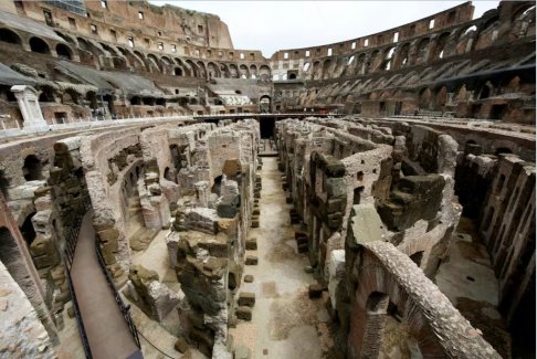 羅馬采取行動清除羅馬斗獸場地區(qū)的老鼠