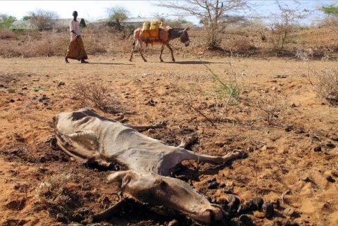 國際貨幣基金組織表示 氣候變化可能會增加沖突死亡