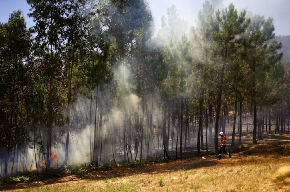 歐洲航天局局長警告氣候問題上的政治動(dòng)搖