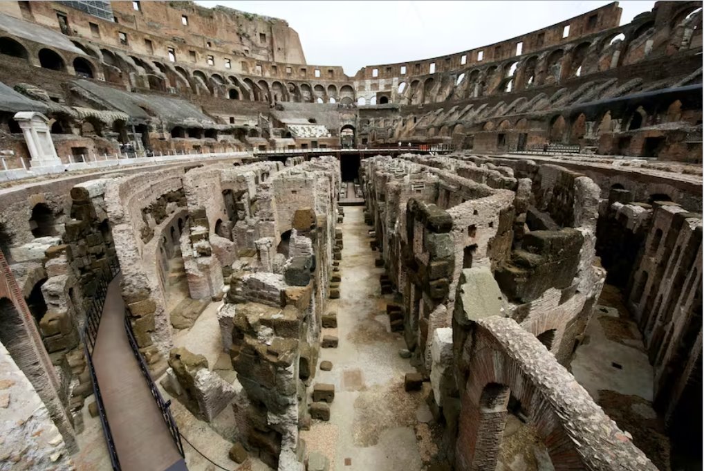 羅馬采取行動清除羅馬斗獸場地區(qū)的老鼠