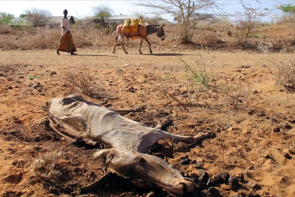 國際貨幣基金組織表示 氣候變化可能會增加沖突死亡人數(shù)