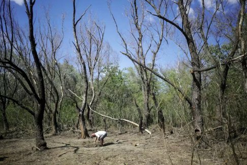 羅馬尼亞在與烏克蘭邊境附近發(fā)現(xiàn)無(wú)人機(jī)殘骸