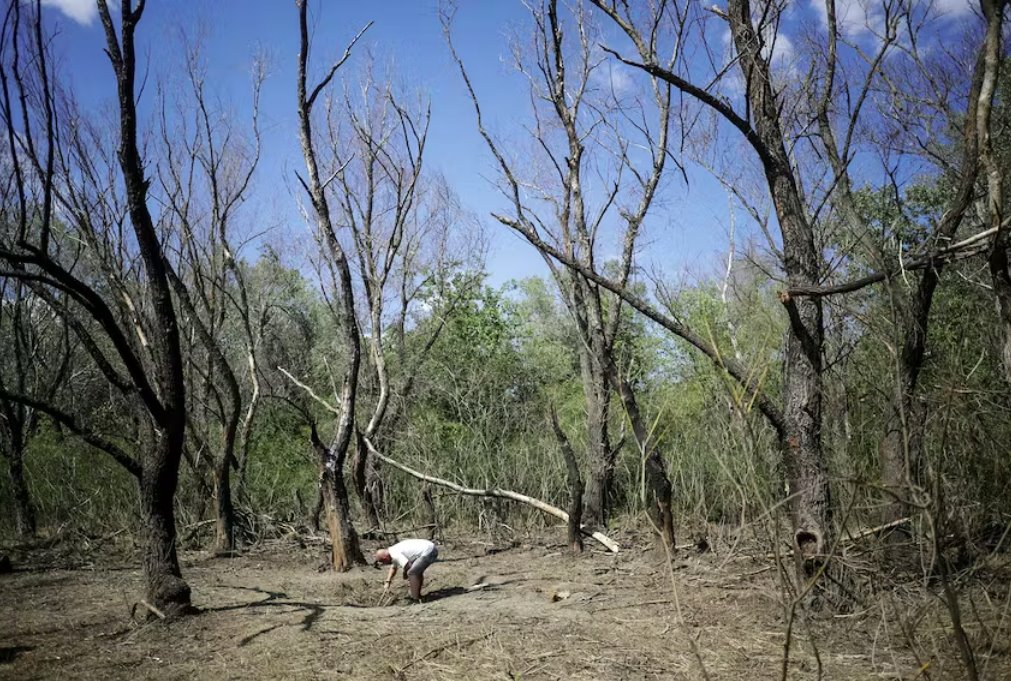 羅馬尼亞在與烏克蘭邊境附近發(fā)現無人機殘骸