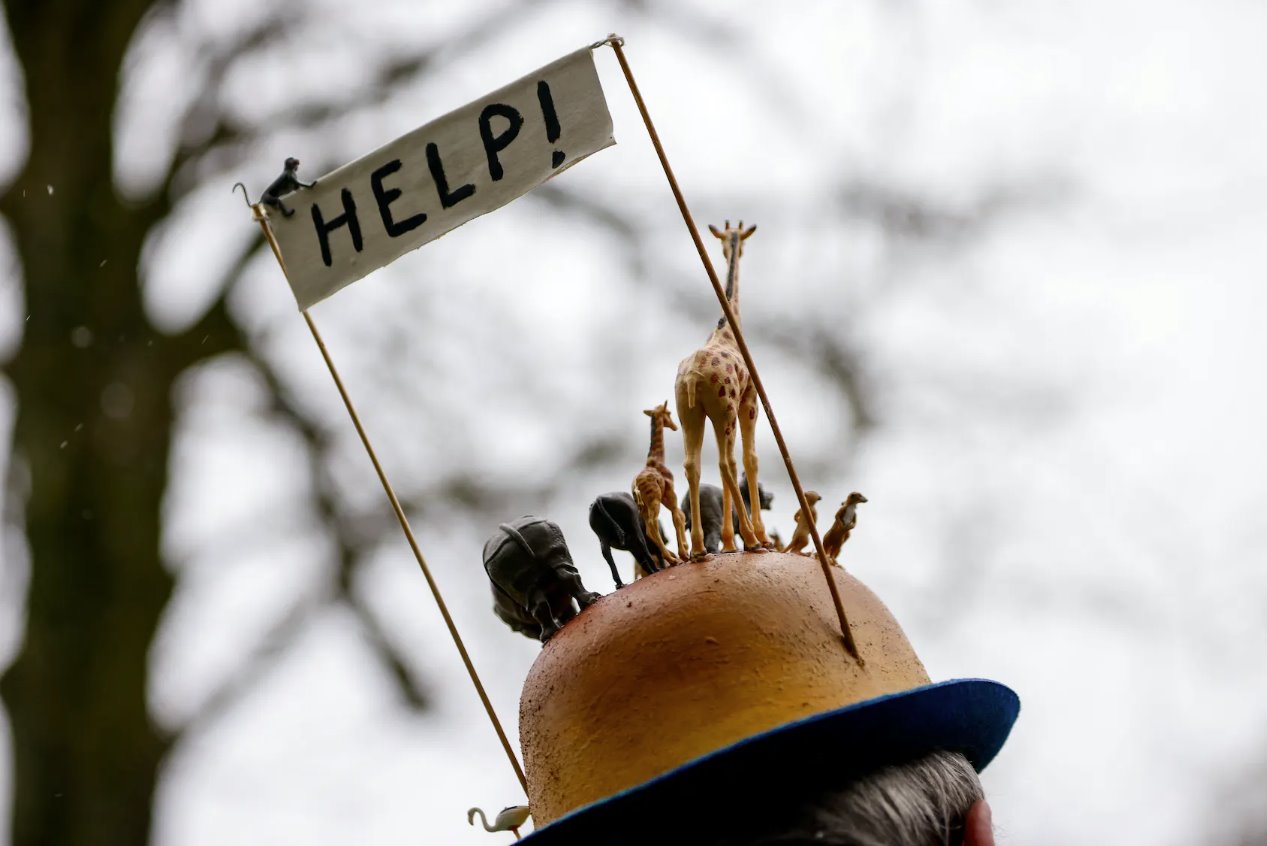 比利時(shí)氣候抗議者告訴COP28&ldquo;不存在行星B&rdquo;