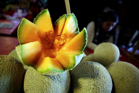 墨西哥哈密瓜工廠爆發(fā)沙門(mén)氏菌