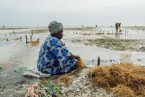 適應(yīng)手冊(cè)是COP28氣候峰會(huì)對(duì)世界弱勢(shì)群體的真正考驗(yàn)