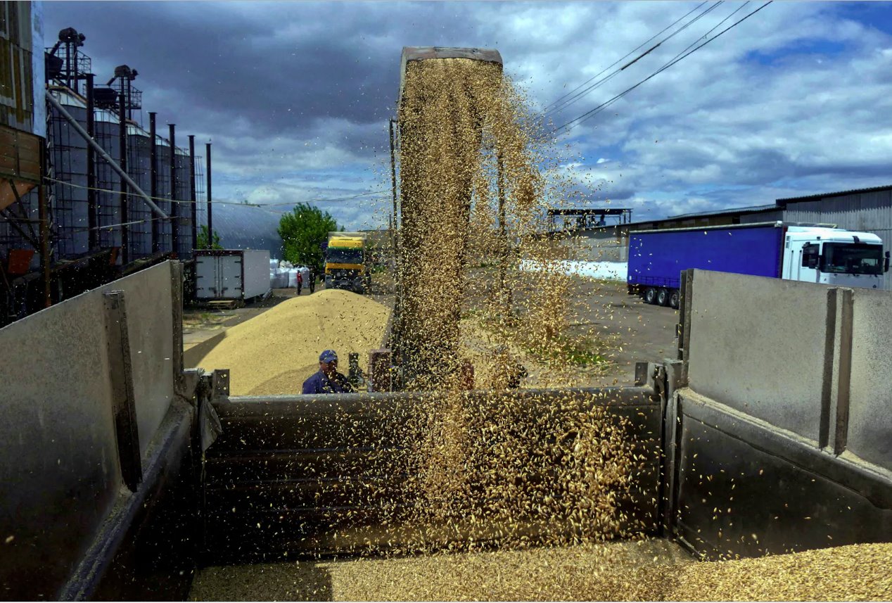 烏克蘭，2022年6月23日，俄羅斯對烏克蘭的攻擊仍在繼續(xù)，敖德薩地區(qū)大麥?zhǔn)崭钇陂g，一名工人在碼頭裝載谷物。