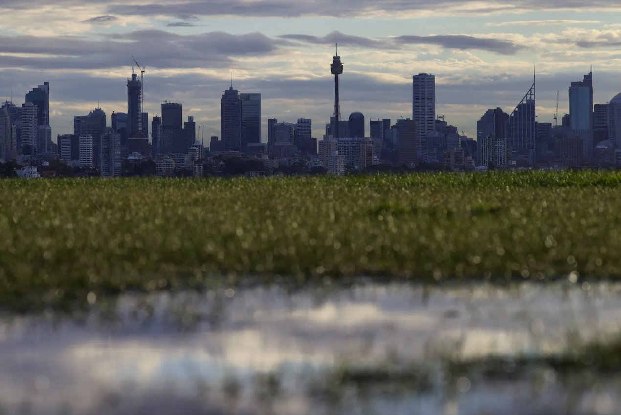 2020年6月29日，澳大利亞悉尼，為遏制冠狀病毒疾病(COVID-19)傳播而實(shí)施的限制放松，市中心的天際線清晰可見。