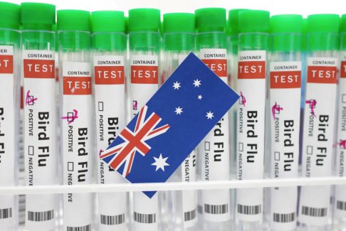 美國限制從澳大利亞維多利亞州進口某些家禽