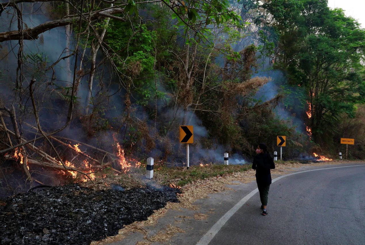 2019年4月4日，泰國沙蒙區(qū)，一名記者戴著口罩靠近森林火災。