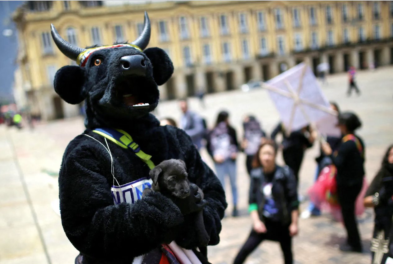 2022年10月5日，哥倫比亞波哥大，一名動(dòng)物權(quán)利活動(dòng)人士抱著一只小狗參加示威活動(dòng)，要求批準(zhǔn)一項(xiàng)禁止斗牛、斗雞和虐待動(dòng)物活動(dòng)的法律。