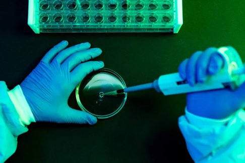 登革熱：科學(xué)家命名病毒