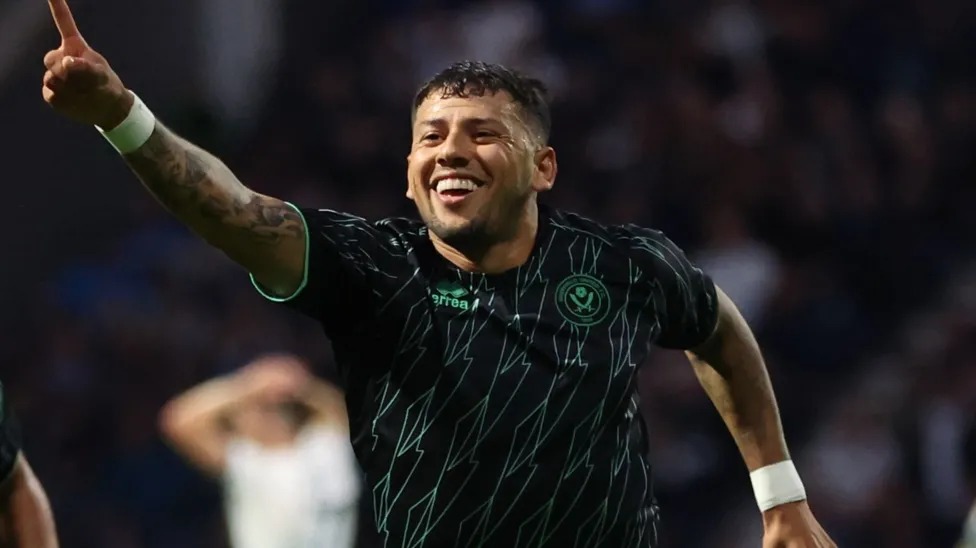 古斯塔沃&middot;哈默慶祝謝菲爾德聯(lián)隊(duì)進(jìn)球?yàn)榭完?duì)安全拿分