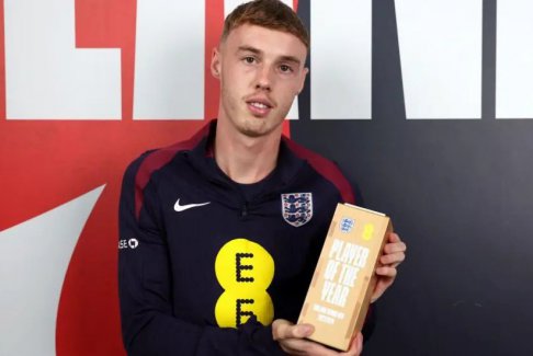 帕爾默被評為英格蘭年度最佳男子球員