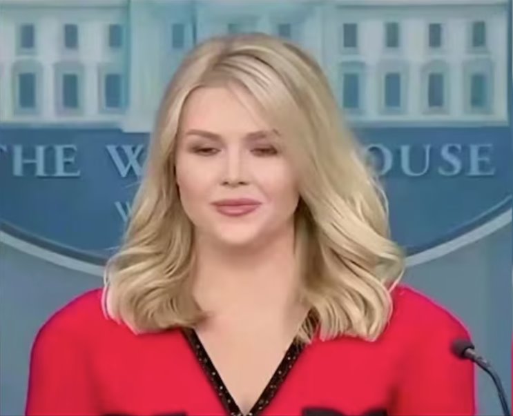 白宮發(fā)言人萊維特女士穿中國(guó)造服裝