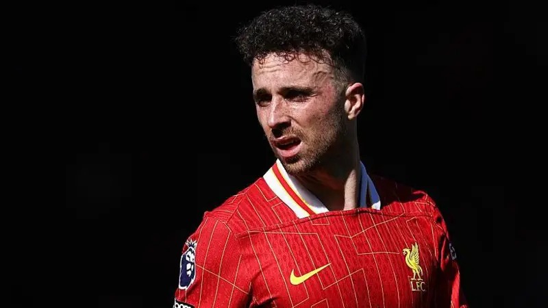 迪奧戈&middot;若塔上賽季代表利物浦出場37次，攻入9球