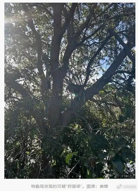 特朗普專機(jī)附近疑發(fā)現(xiàn)狙擊狩獵臺(tái)