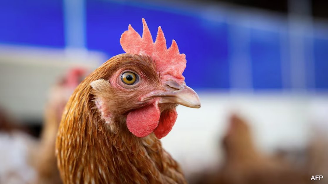 美國一名患者感染禽流感病毒，該病毒具有&ldquo;大流行潛力&rdquo;