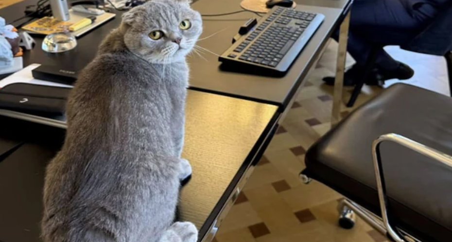 德韋弗在 Maximus 上發(fā)布的帖子并非人人都喜歡