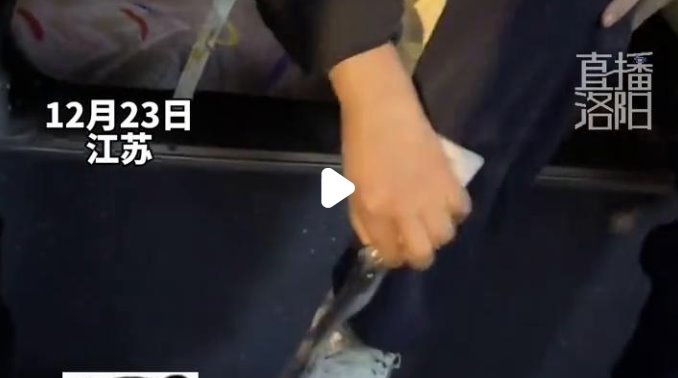 人在公交車上被帶魚(yú)咬的概率不是0