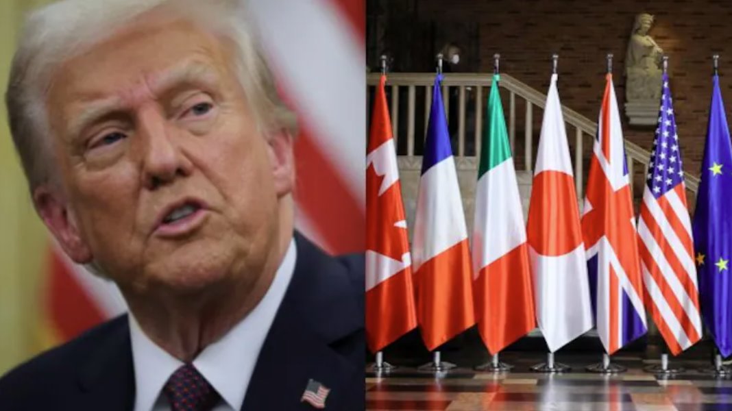 特朗普將于6月14日在白宮組織一場綜合格斗（MMA）比賽