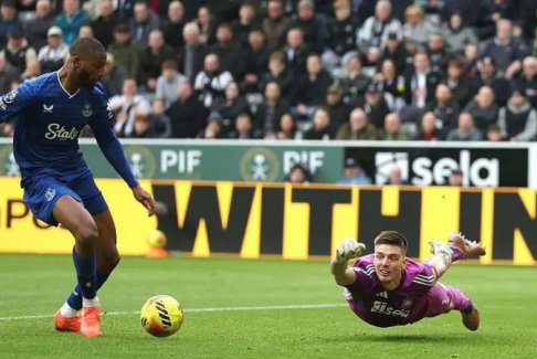 喜鵲們現(xiàn)在必須把杯子作為關(guān)注點